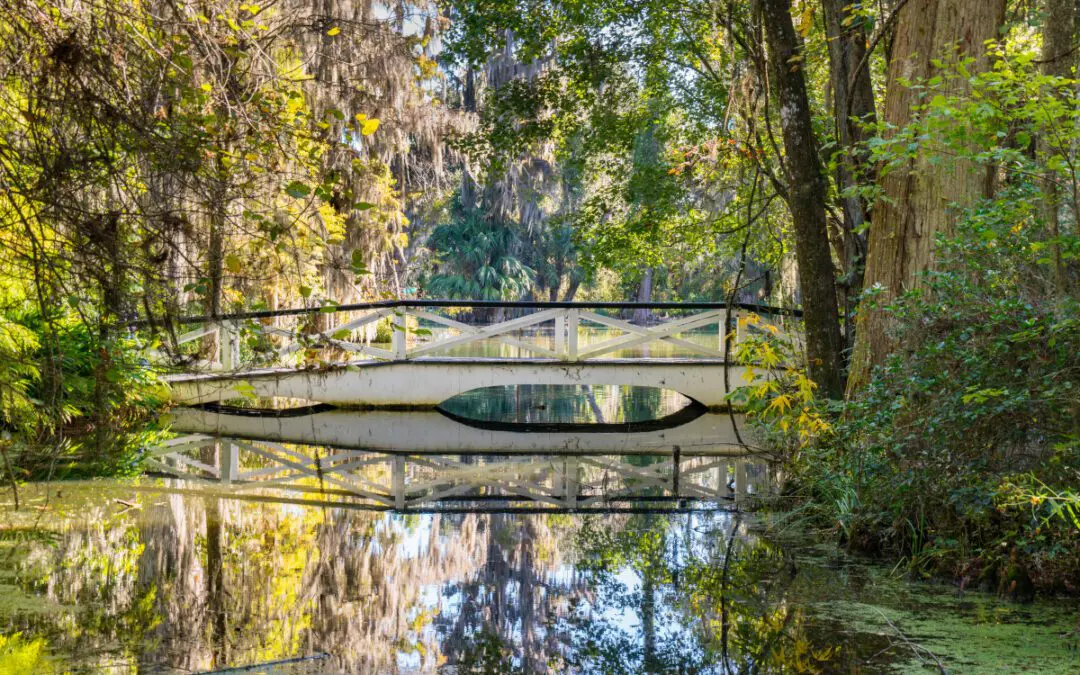 Is West Ashley A Good Place To Live In South Carolina? [Moving To West Ashley Guide]